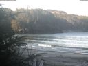 ./images/calvert/beach/20200403/beach20200403_090503.jpg