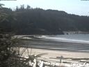 ./images/calvert/beach/20200403/beach20200403_131003.jpg