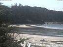 ./images/calvert/beach/20200403/beach20200403_133501.jpg