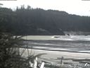./images/calvert/beach/20200403/beach20200403_143502.jpg