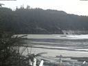 ./images/calvert/beach/20200403/beach20200403_152502.jpg