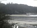 ./images/calvert/beach/20200403/beach20200403_154502.jpg
