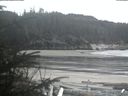 ./images/calvert/beach/20200403/beach20200403_175003.jpg