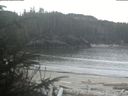 ./images/calvert/beach/20200404/beach20200404_084502.jpg