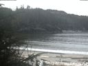 ./images/calvert/beach/20200404/beach20200404_103502.jpg