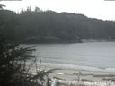 ./images/calvert/beach/20200404/beach20200404_110502.jpg