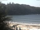 ./images/calvert/beach/20200405/beach20200405_111003.jpg
