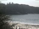./images/calvert/beach/20200408/beach20200408_131002.jpg