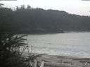 ./images/calvert/beach/20200408/beach20200408_133003.jpg