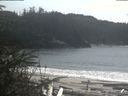 ./images/calvert/beach/20200408/beach20200408_145502.jpg