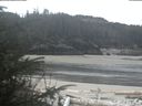 ./images/calvert/beach/20200409/beach20200409_082503.jpg
