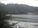 ./images/calvert/beach/20200409/beach20200409_090502.jpg