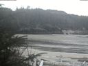 ./images/calvert/beach/20200409/beach20200409_091501.jpg
