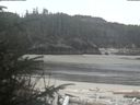 ./images/calvert/beach/20200409/beach20200409_092502.jpg