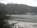 ./images/calvert/beach/20200409/beach20200409_100503.jpg