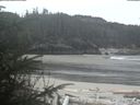 ./images/calvert/beach/20200409/beach20200409_103503.jpg