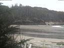 ./images/calvert/beach/20200409/beach20200409_104001.jpg