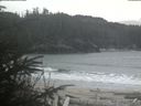 ./images/calvert/beach/20200409/beach20200409_144002.jpg