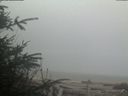 ./images/calvert/beach/20200410/beach20200410_072001.jpg