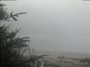 ./images/calvert/beach/20200410/beach20200410_072503.jpg