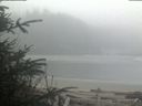 ./images/calvert/beach/20200410/beach20200410_081503.jpg