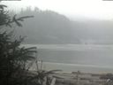 ./images/calvert/beach/20200410/beach20200410_083502.jpg