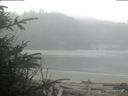 ./images/calvert/beach/20200410/beach20200410_092001.jpg