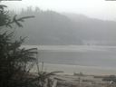 ./images/calvert/beach/20200410/beach20200410_101503.jpg