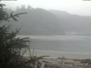 ./images/calvert/beach/20200410/beach20200410_102003.jpg
