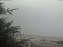 ./images/calvert/beach/20200410/beach20200410_110503.jpg