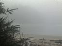./images/calvert/beach/20200410/beach20200410_111503.jpg