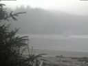 ./images/calvert/beach/20200410/beach20200410_112503.jpg