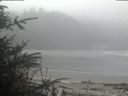./images/calvert/beach/20200410/beach20200410_113503.jpg