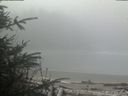 ./images/calvert/beach/20200410/beach20200410_114503.jpg