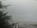 ./images/calvert/beach/20200410/beach20200410_120002.jpg