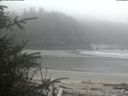 ./images/calvert/beach/20200410/beach20200410_120503.jpg