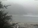 ./images/calvert/beach/20200410/beach20200410_121002.jpg