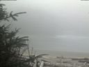 ./images/calvert/beach/20200410/beach20200410_121502.jpg