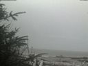 ./images/calvert/beach/20200410/beach20200410_122502.jpg