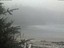 ./images/calvert/beach/20200410/beach20200410_123502.jpg