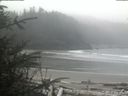 ./images/calvert/beach/20200410/beach20200410_124002.jpg
