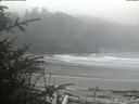 ./images/calvert/beach/20200410/beach20200410_125002.jpg