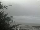 ./images/calvert/beach/20200410/beach20200410_125502.jpg