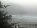 ./images/calvert/beach/20200410/beach20200410_132003.jpg