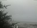./images/calvert/beach/20200410/beach20200410_133503.jpg