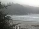./images/calvert/beach/20200410/beach20200410_134003.jpg