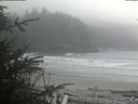 ./images/calvert/beach/20200410/beach20200410_135003.jpg