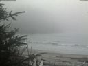 ./images/calvert/beach/20200410/beach20200410_143502.jpg