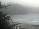 ./images/calvert/beach/20200410/beach20200410_144502.jpg