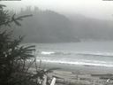 ./images/calvert/beach/20200410/beach20200410_151003.jpg
